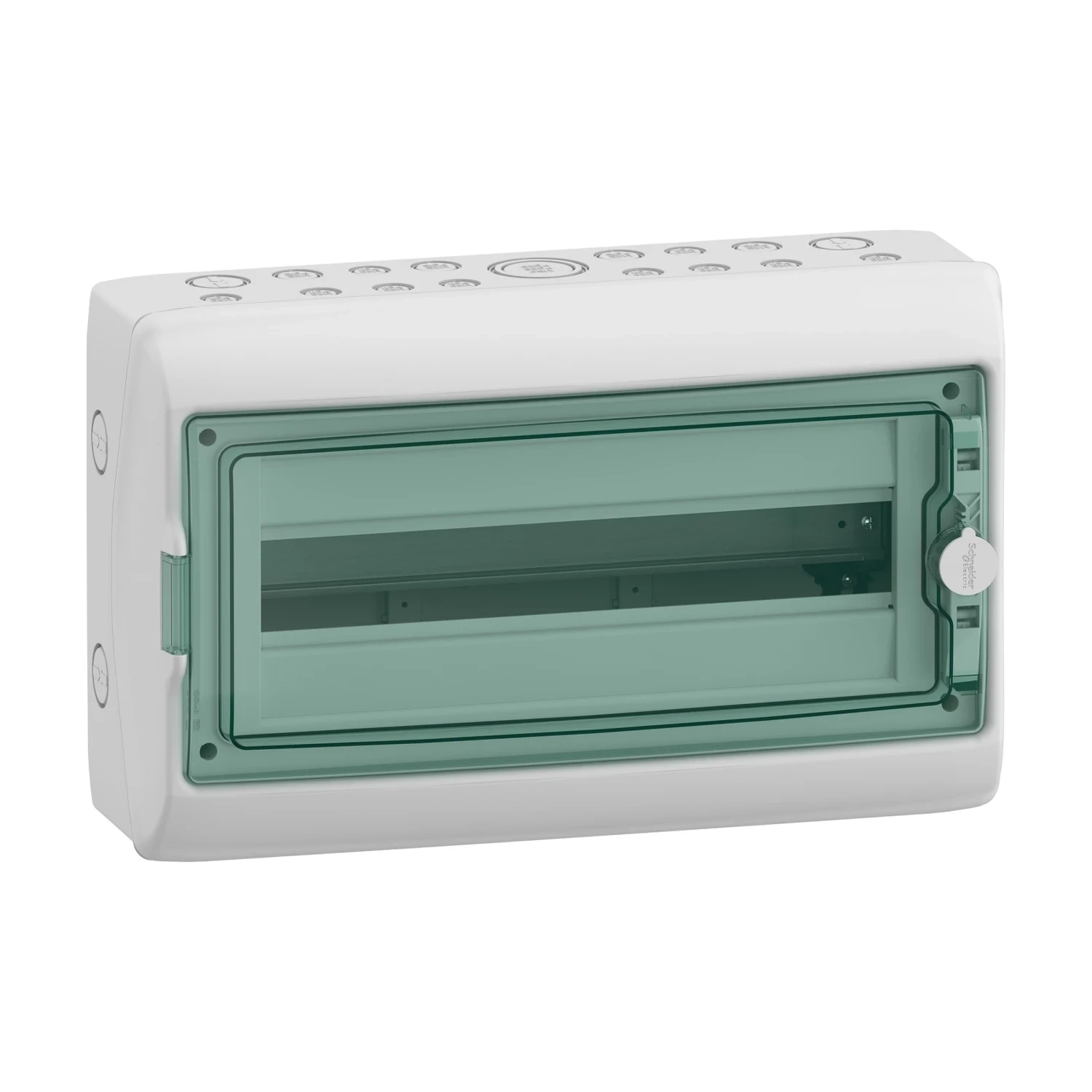 Schneider Kaedra Surface Enclosure 18 Way 1 Row IP65 Transparent Door