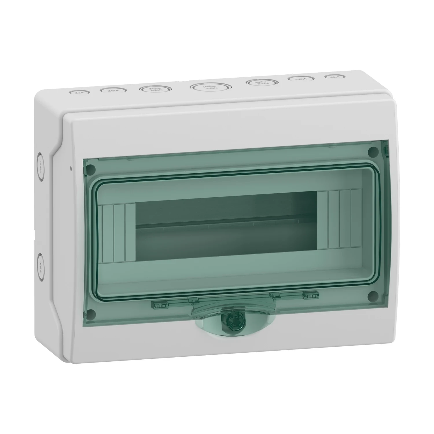Schneider Mini Kaedra Surface Enclosure 12 Module 1 Row IP65 Transparent Door