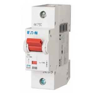 247979 - Eaton MCB 1P 100A B 20kA