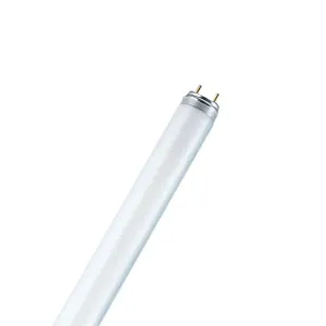 T8 Fluorescent Tupe, 25W, Cool White 840