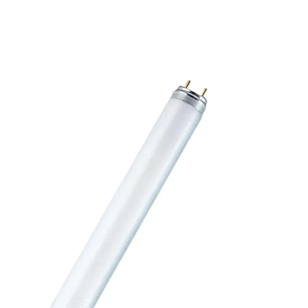 T8 Fluorescent Tupe, 25W, Cool White 840