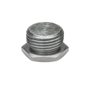 BK25 25mm Galvanized Cap