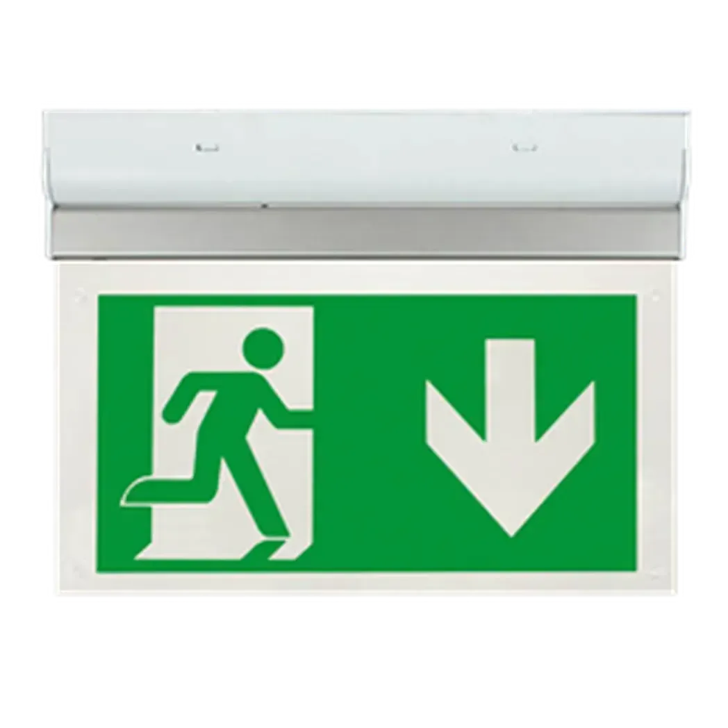 EM2WMEXHSIGND - ESP Emergency Hanging LED Exit