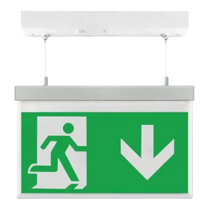 EMD2WMEXHSIGND - Emergency Hanging LED Exit Light Arrow Down ESPI