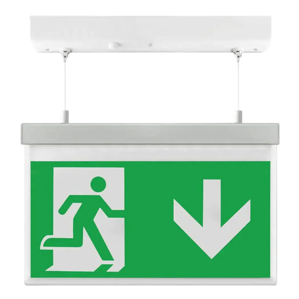 EMD2WMEXHSIGND - Emergency Hanging LED Exit Light Arrow Down ESPI