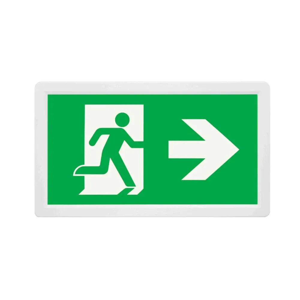 ESP EMD3WMSLEXBOXUDLR slim LED emergency exit sign with all legends