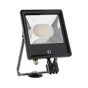 FL05BPCS - Collingwood 50W Colour Switchable Floodlight Fl05bpcs