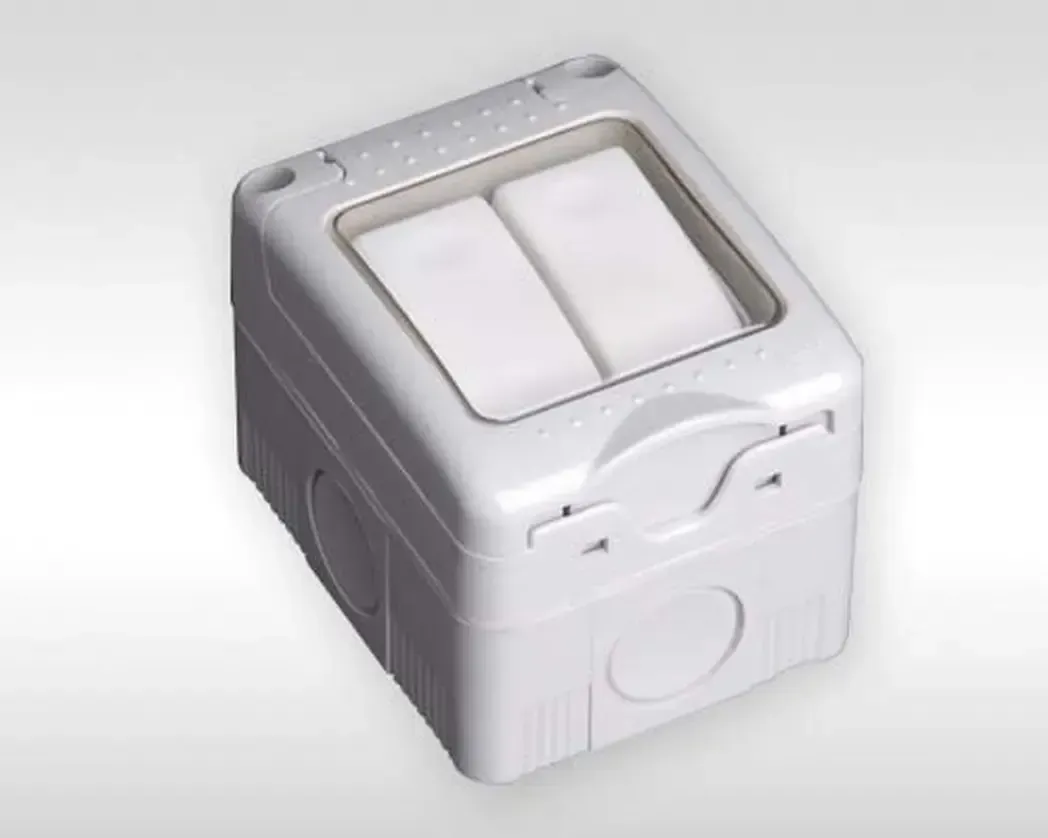 L2G2WP - Switch 2G 2W 10AMP IP55