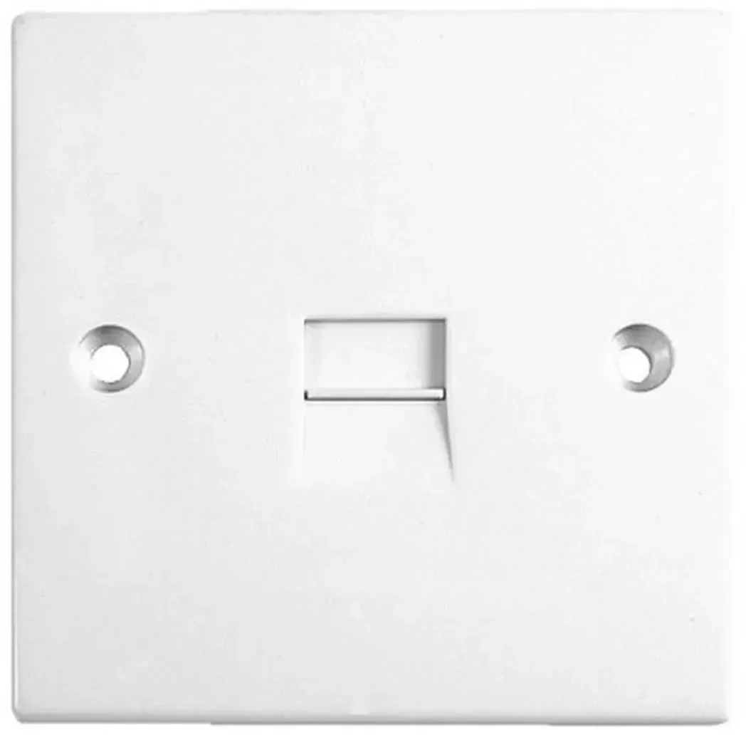 LG1515S - Selectric Telephone Point. BT Slave. LG1515S