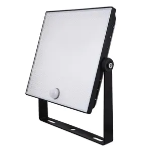 ESPI NH30BS 30W Floodlight