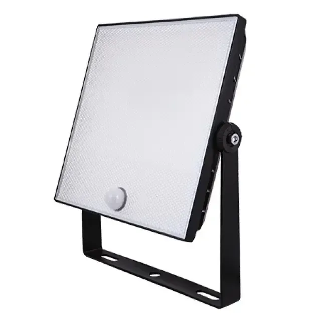 ESPI NH30BS 30W Floodlight