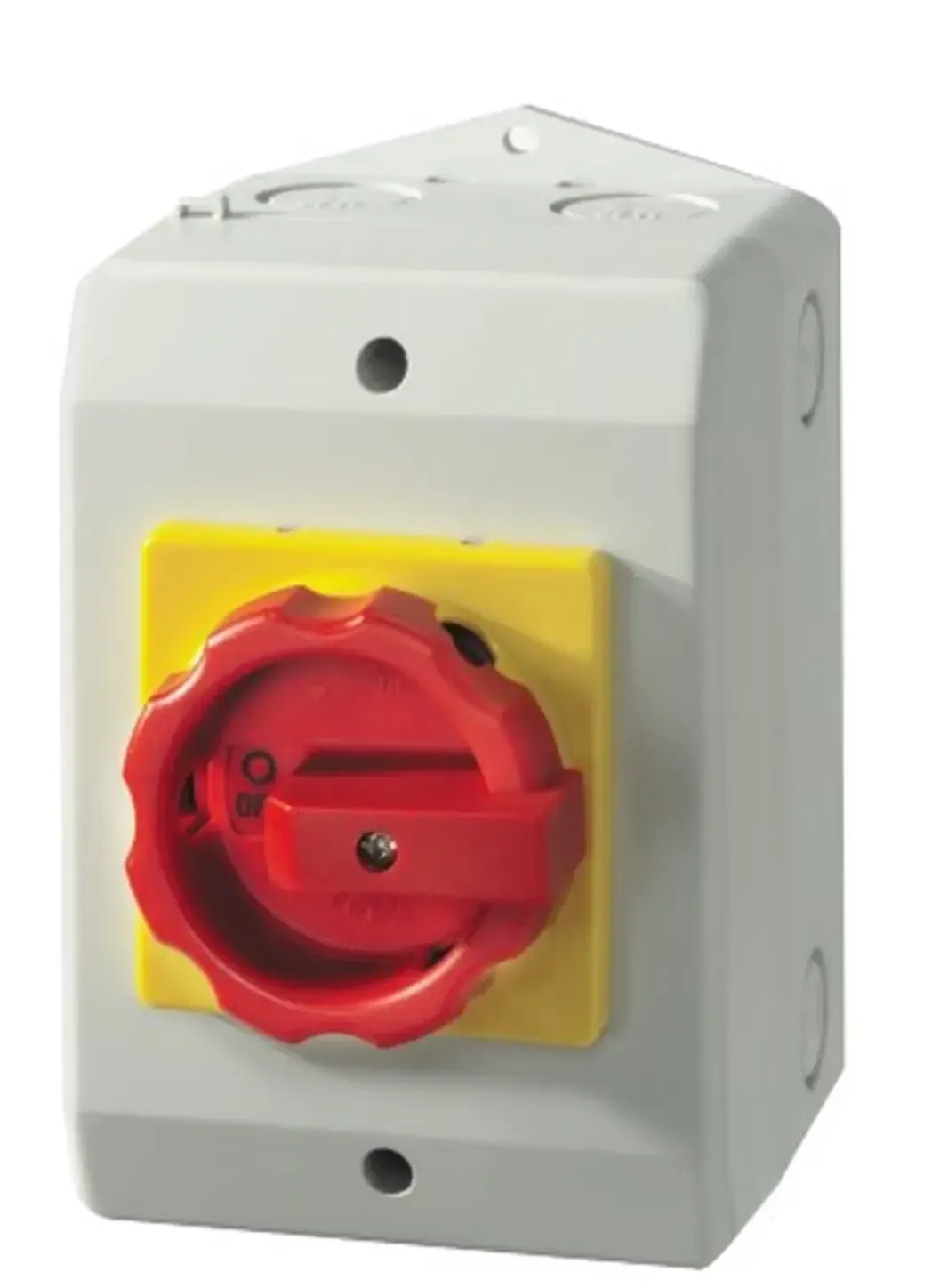 RL0633PMD2 - Isolator 3P 63A C/W N & PE Sontheimer Larger Enclosure RL0633PMD2