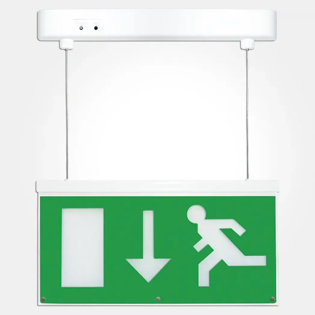 SIGNLEDEM3 - Down Arrow Signage LED Emergency Hanging Exit Sign Light