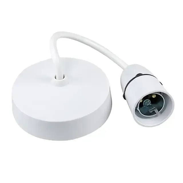 Selectric Pendant SL618