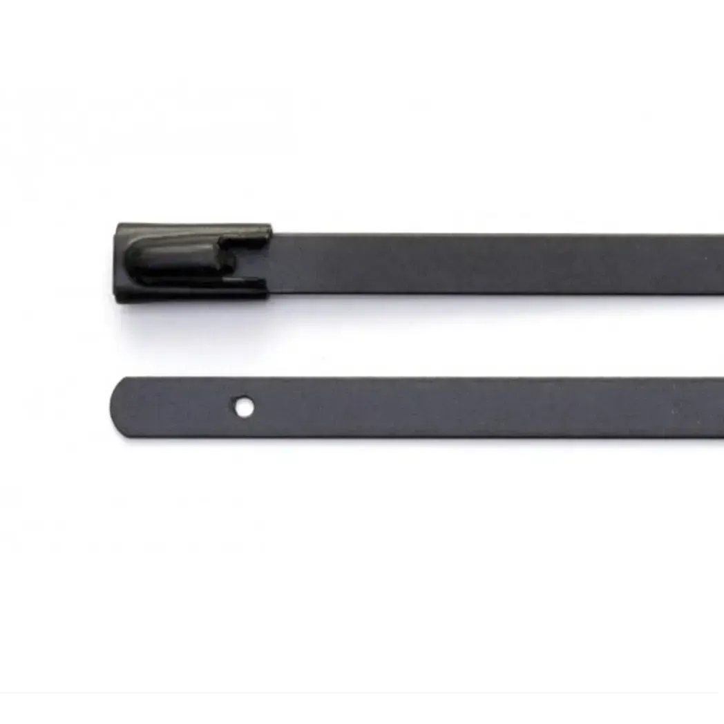 SSTC2316 - 200mm X 4.6mm Stainless Steel Cable Tie (100 Pack) Black SSTC2316