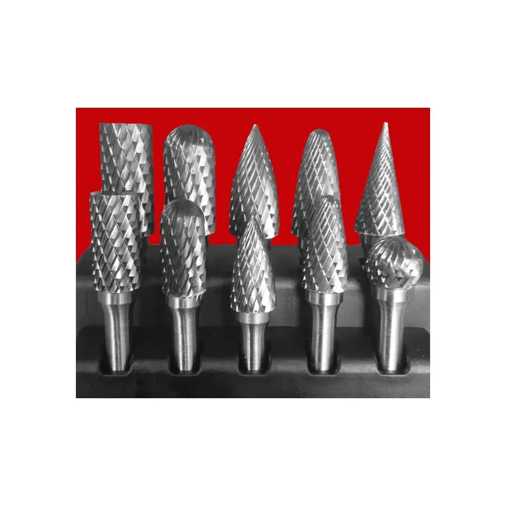 Vires 10 Piece Tungsten Carbide Rotary Burr Set in Case