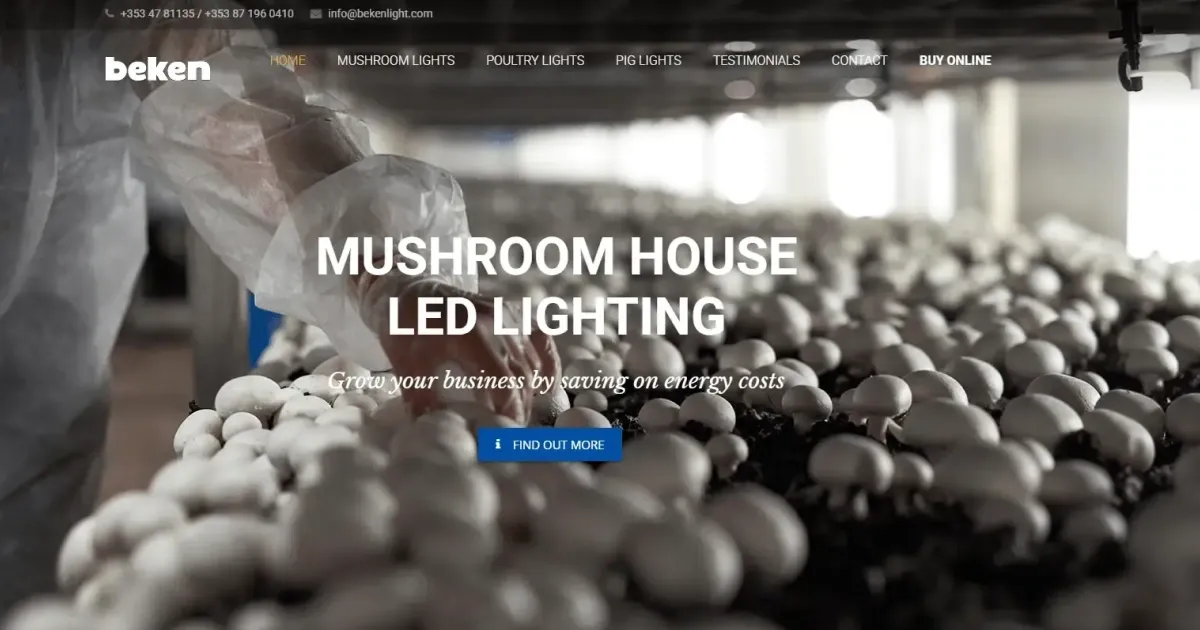 Beken Lights