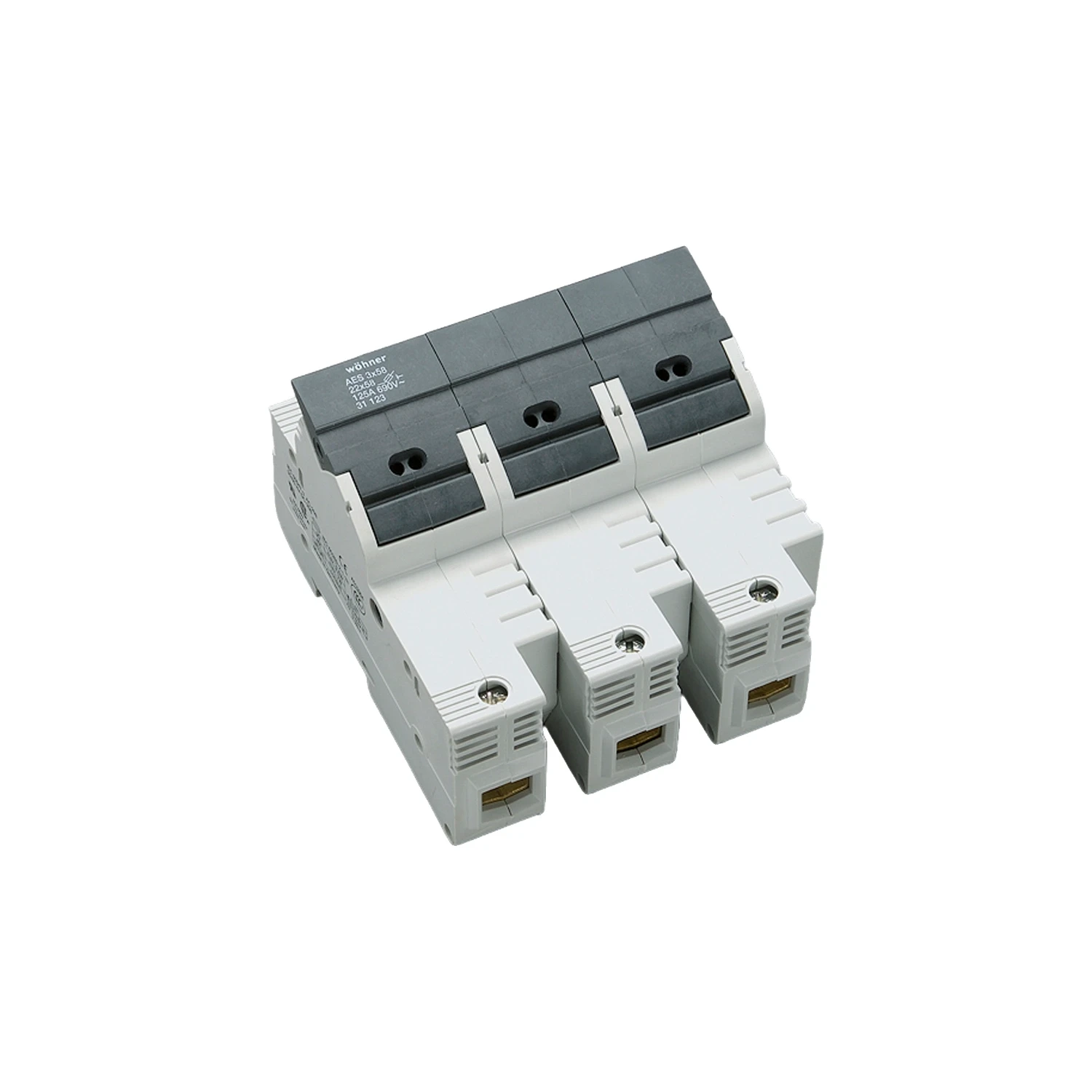 Panel Holder Cylindrical Fuses 22x58mm 3 Pole 100A 690V AC IP20 L703