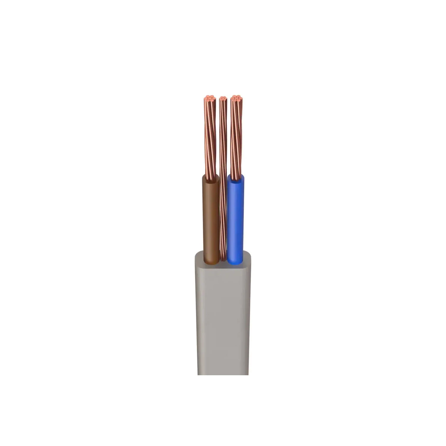 Twin & Earth Cable 6mm 50m 6242Y